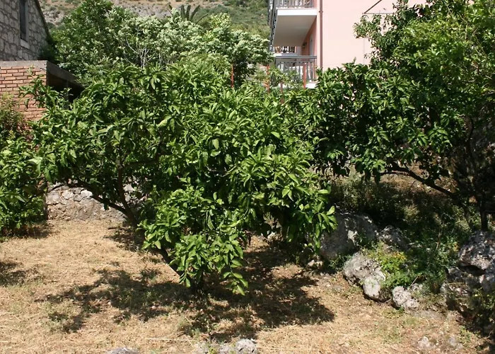 Daire Apartments By The Sea Podaca, Makarska - 6874 *